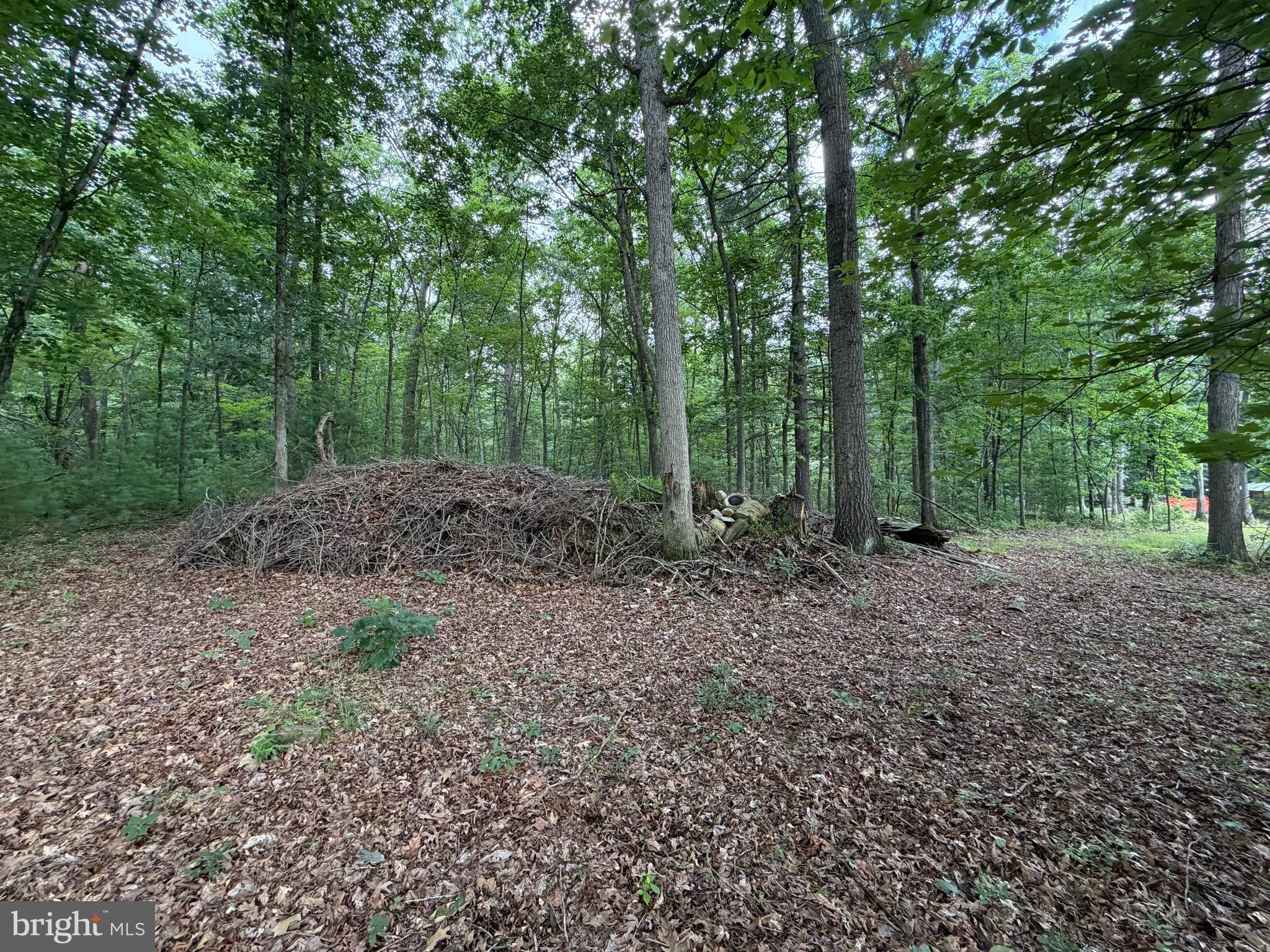 EMSWILER SUBDIVISION - Land