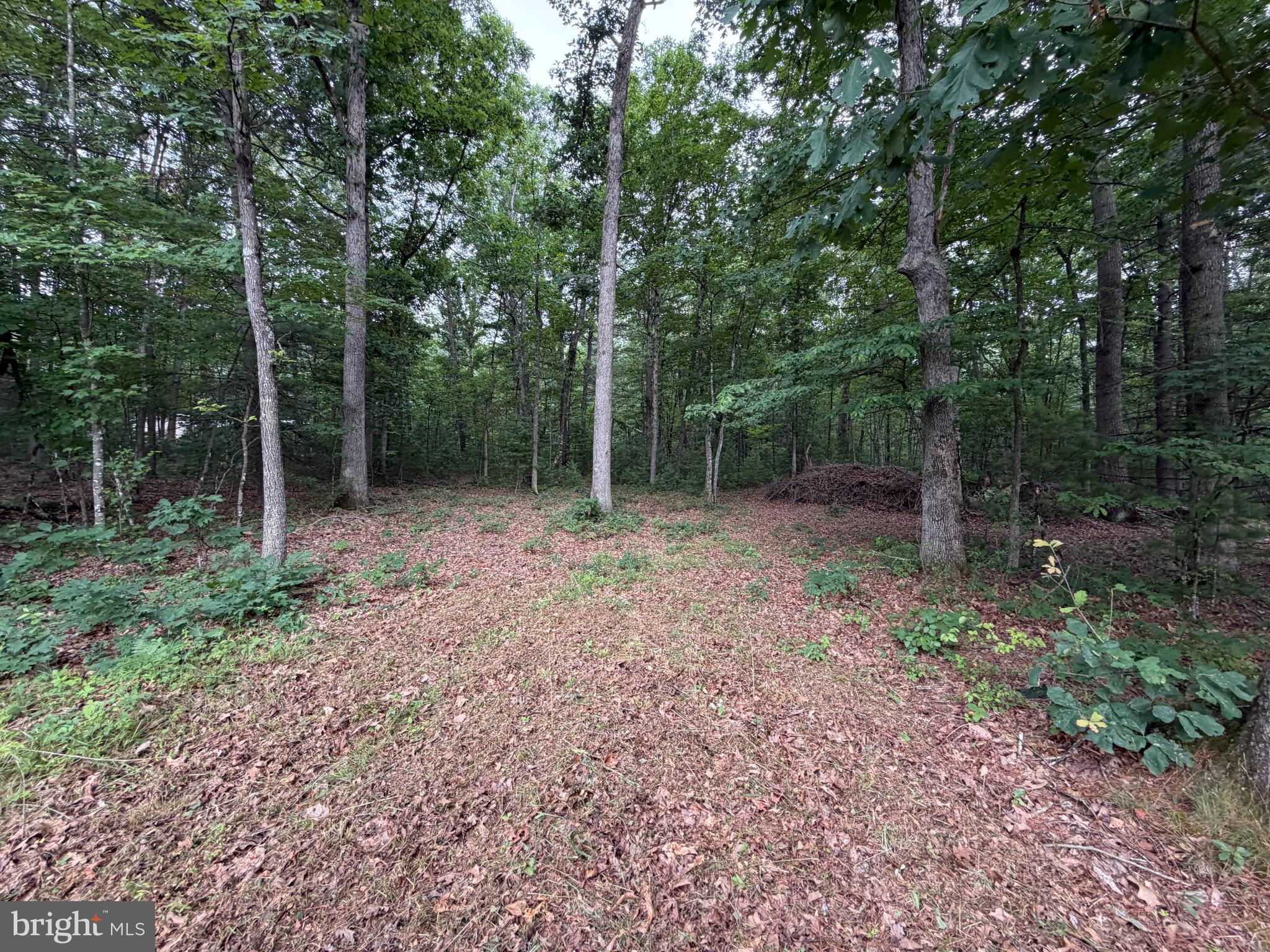 Discover the perfect setting for your mountain retreat at Lot 8 2AC Grizzly Rd. This approximately 2-acre wooded parcel offers privacy, peaceful surroundings, and the ideal blend of seclusion and accessibility. Whether you're planning a full-time residence, weekend cabin, or investment property, this lot provides multiple possibilities. Enjoy the beauty of Hardy County with nearby hiking, fishing, hunting, and outdoor recreation, while still being within a reasonable drive of local amenities. Don't miss this opportunity to own a slice of West Virginia mountain living.