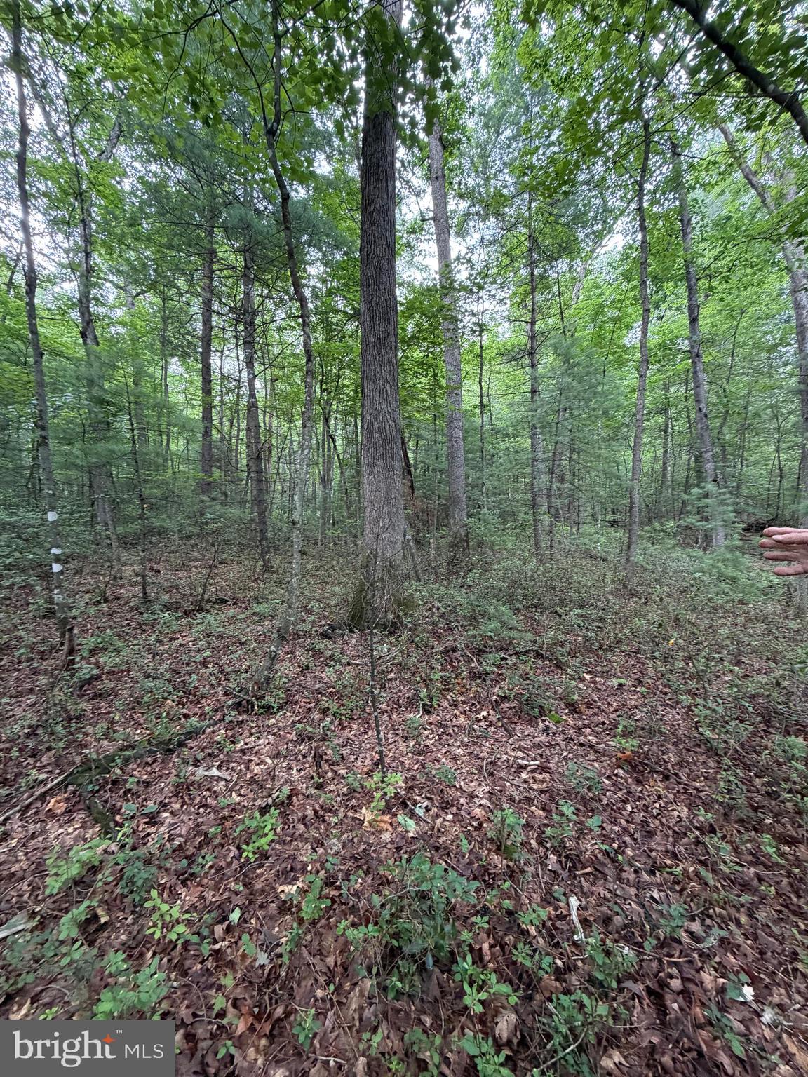 EMSWILER SUBDIVISION - Land