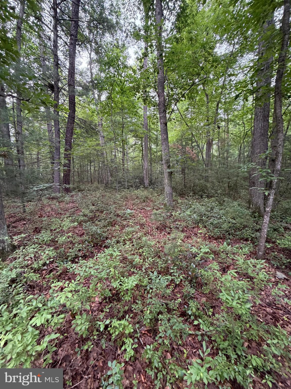 EMSWILER SUBDIVISION - Land