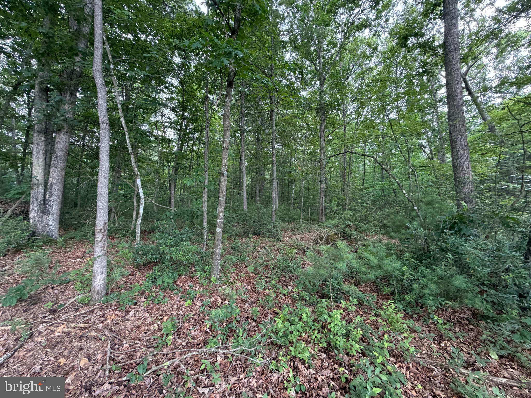 EMSWILER SUBDIVISION - Land