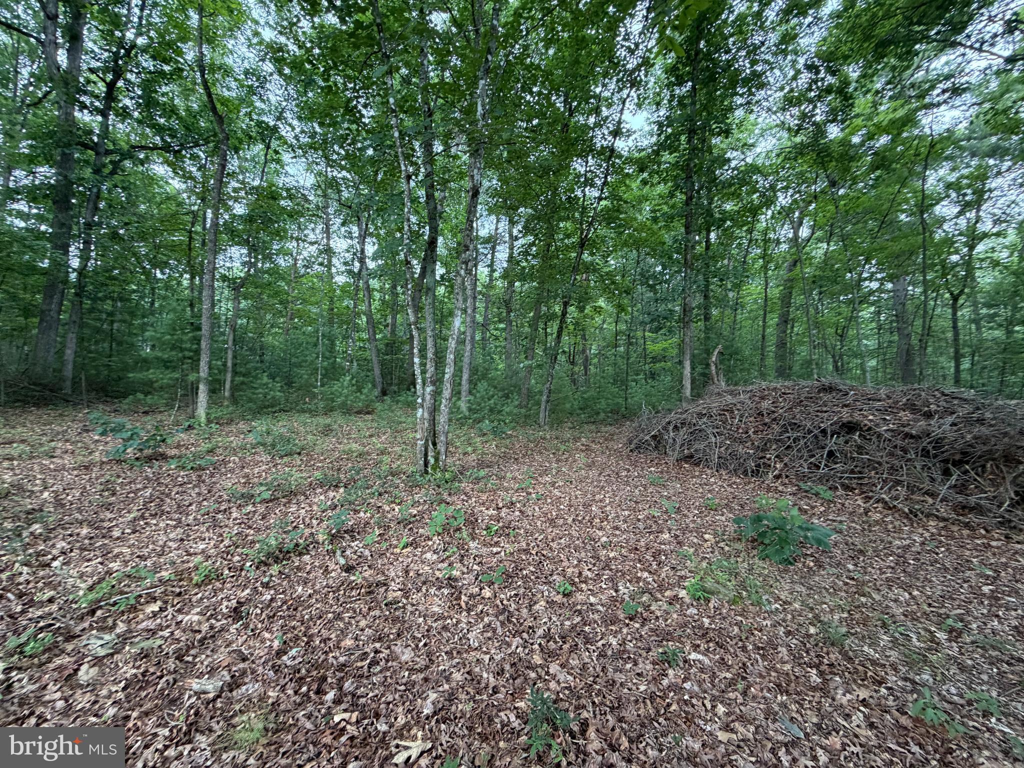 EMSWILER SUBDIVISION - Land