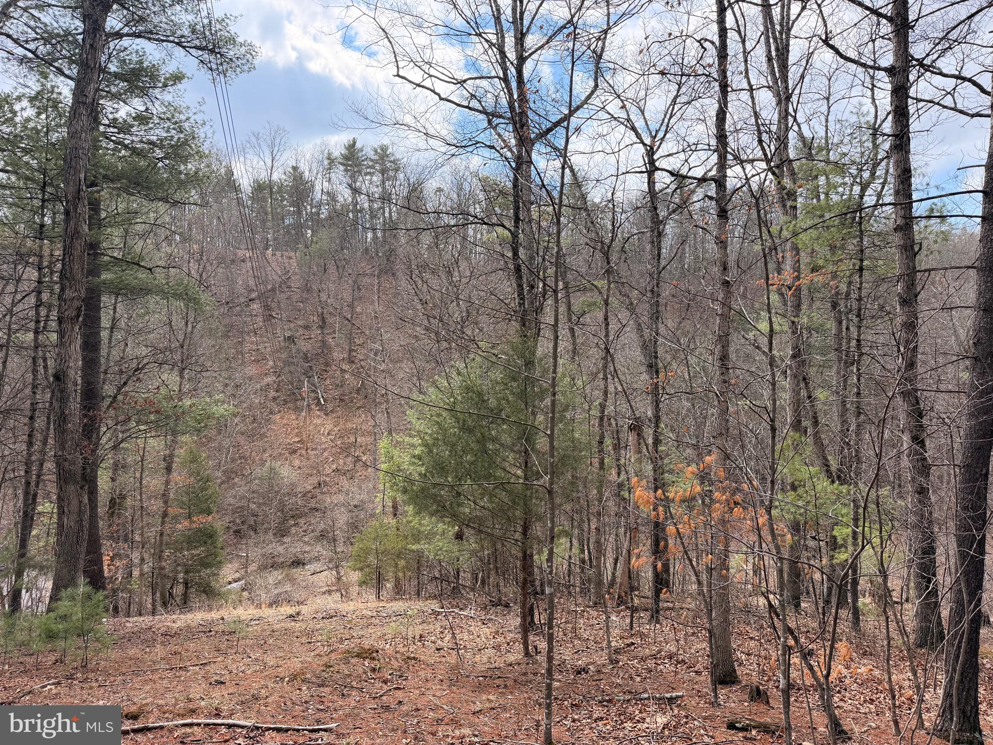 Huge upside potential in this charming A Frame cabin! Home sits on a beautiful ridge and overlooks a small creek. Property is partially wooded and has a small tree house as well. Home needs finishing touches and offers unlimited potential! Short term rental compliant area. Must see!