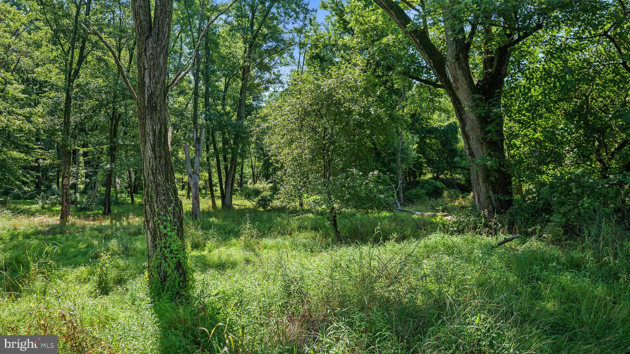 PATAPSCO PARK ESTATES - Residential