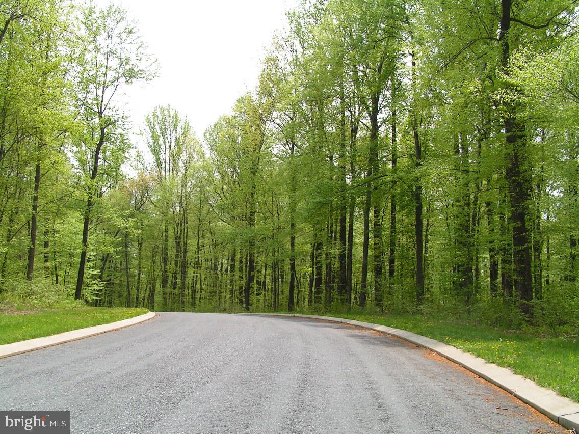 THE ESTATES OF FOREST RIDGE - Land