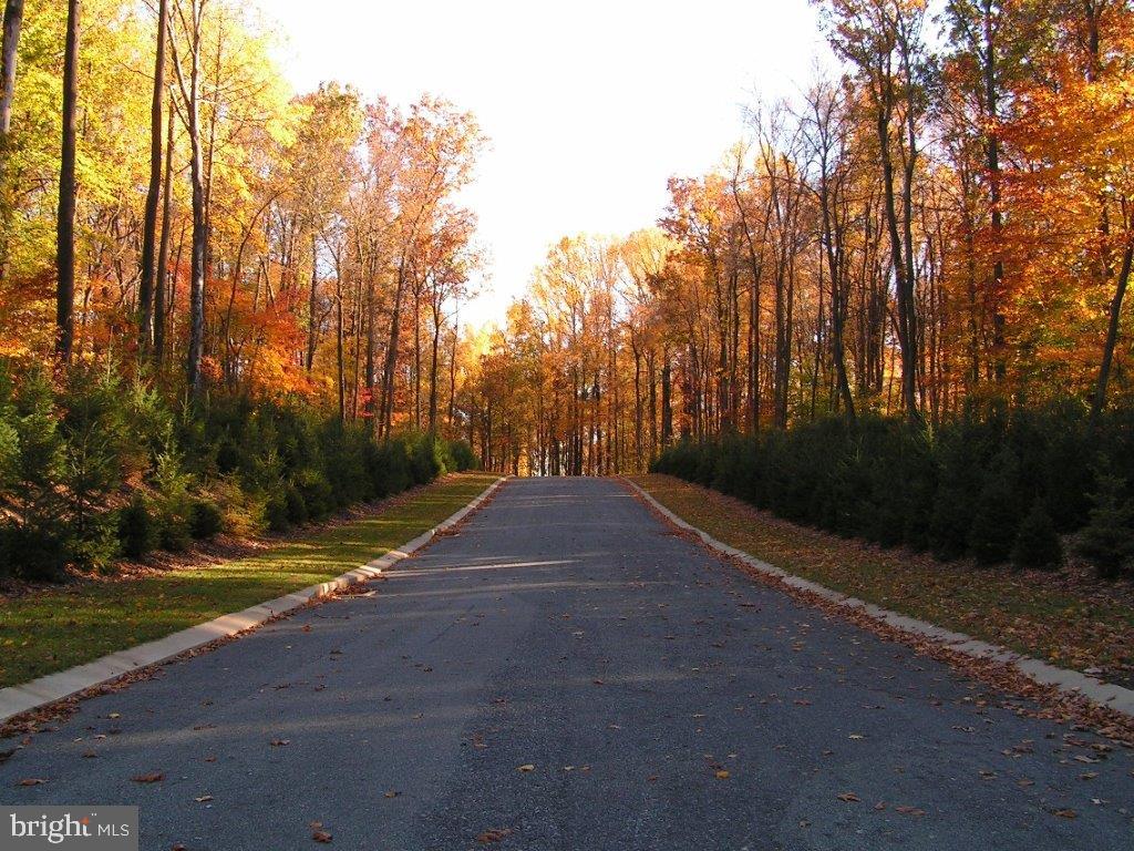 THE ESTATES OF FOREST RIDGE - Land