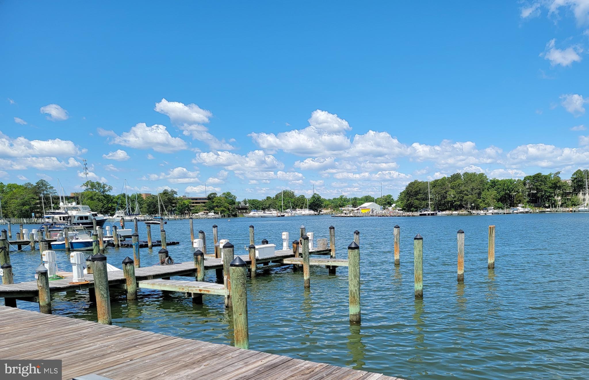 OYSTER BAY CONDOMINIUMS - Residential