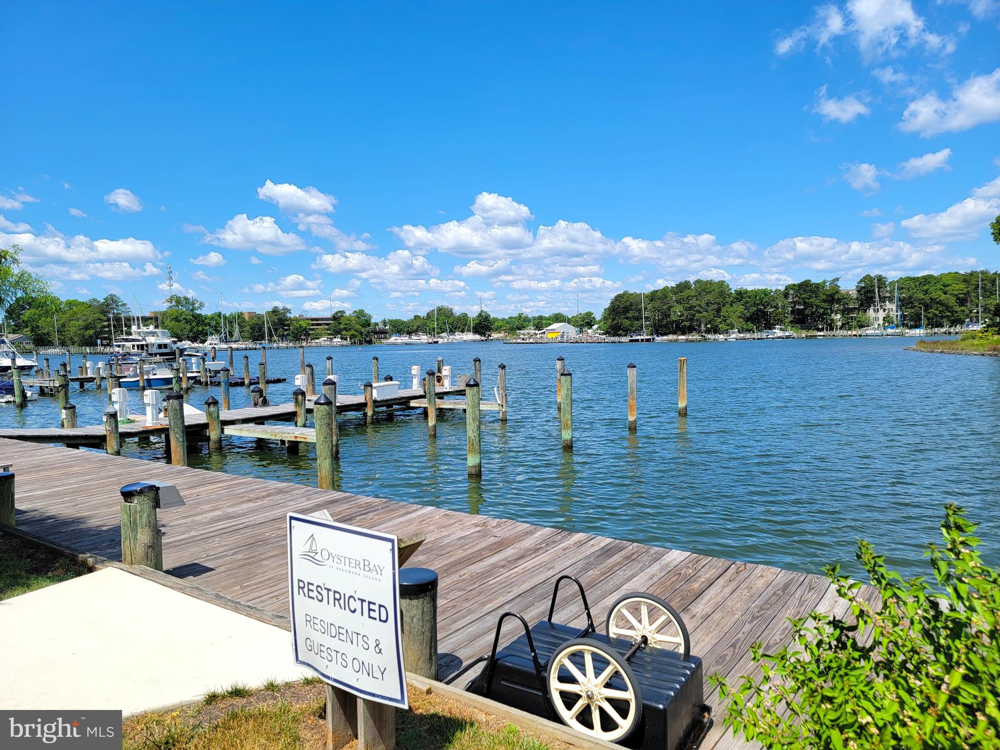 OYSTER BAY CONDOMINIUMS - Residential