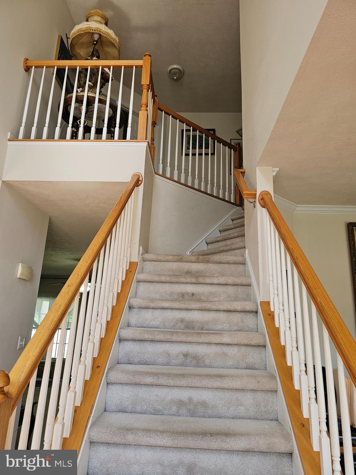 HAPPY CREEK KNOLLS - Residential
