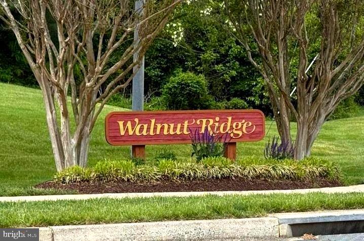 WALNUT RIDGE - Residential
