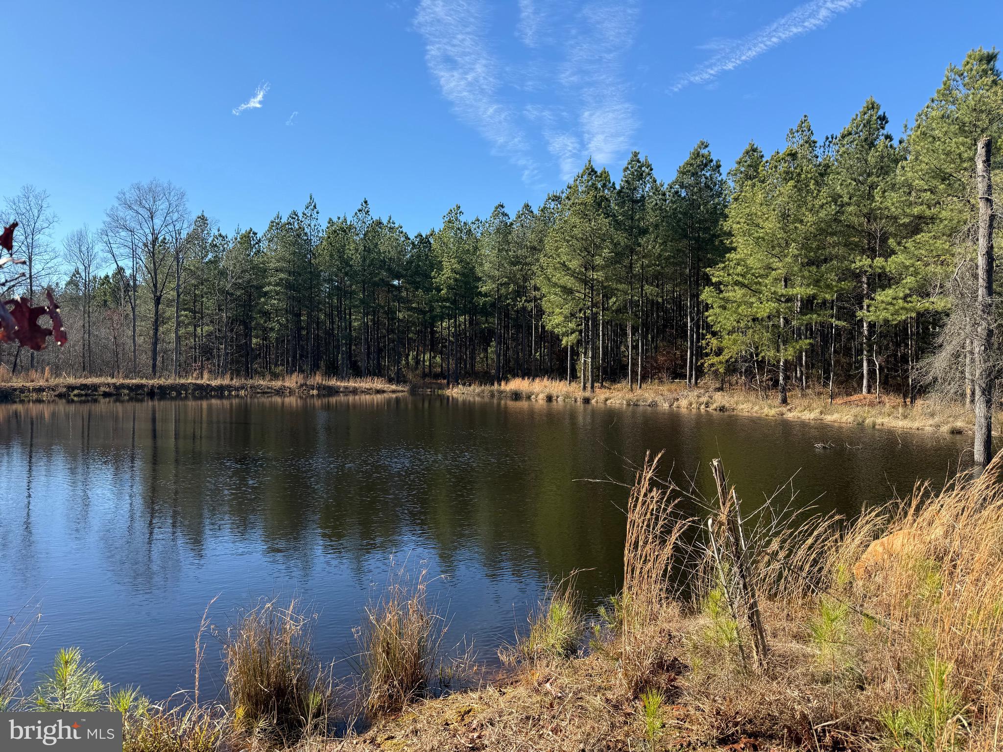 The Longwood Pond Tract is located in Louisa County just off of  Route 15 and south of the town of Gordonsville. This property is comprised of 24 year old planted loblolly pine with a newly built pond located near the center of the property. Tract comes with nice trails, a creek running throughout the property and an Amish built cabin that needs a little more work before being able to be used. This would make for a wonderful place to hunt with wildlife being abundant throughout the property. If you are looking for a nice place to build a home or have a weekend retreat please consider looking at this property.