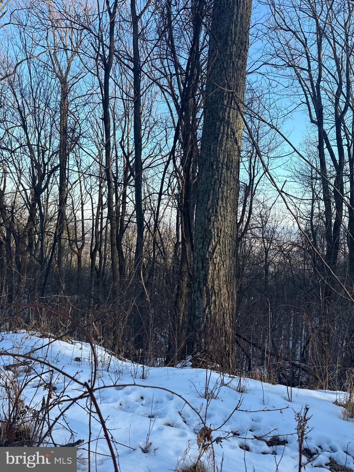 BULL RUN MOUNTAIN ESTATE - Land