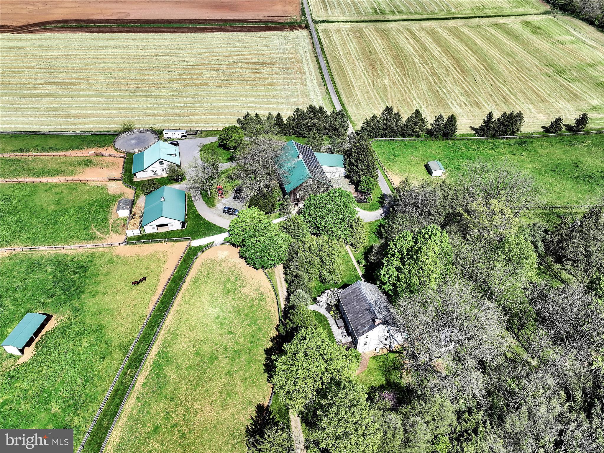 NONE AVAILABLE - Farm