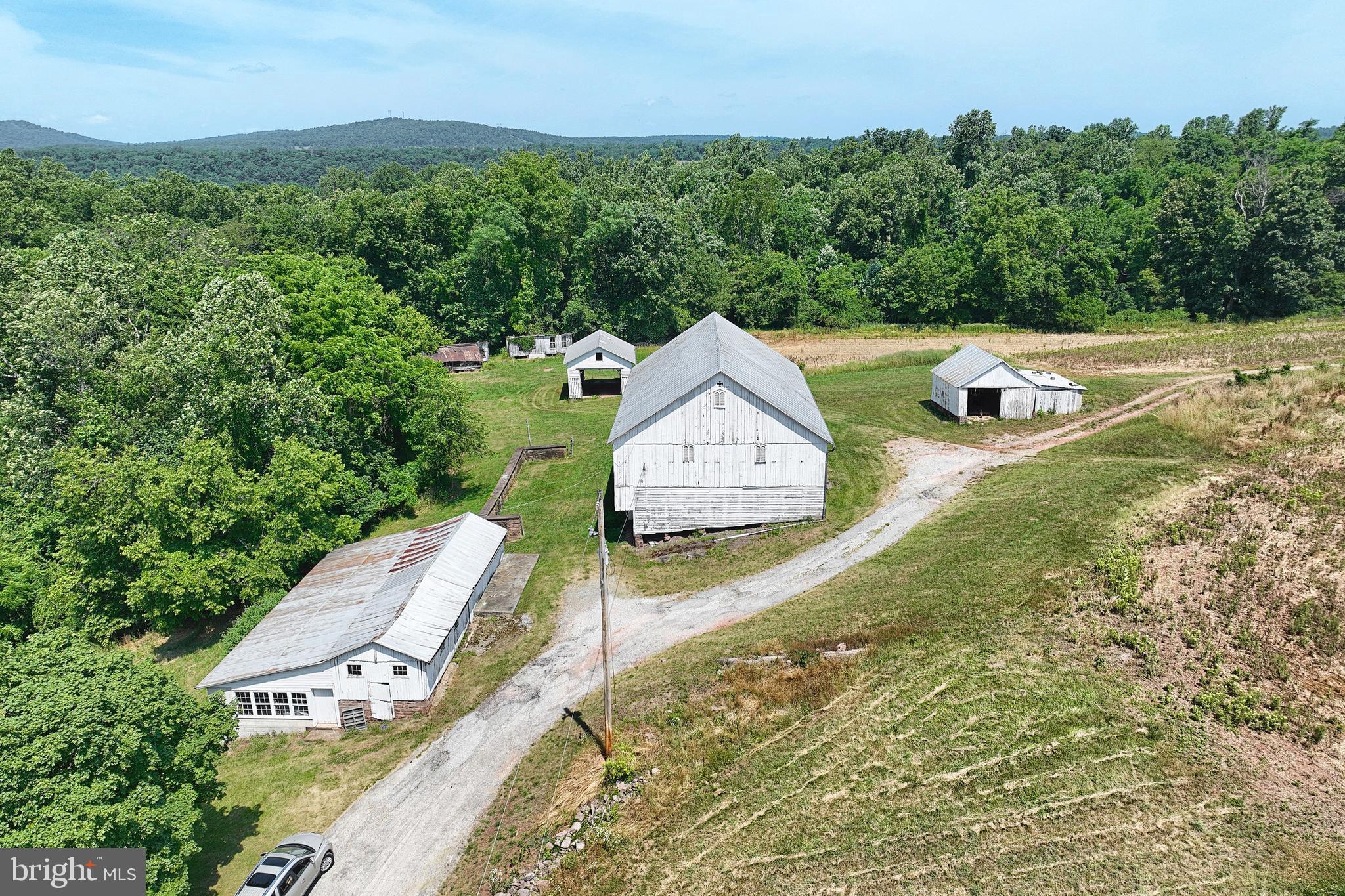 ANDERSONTOWN - Farm