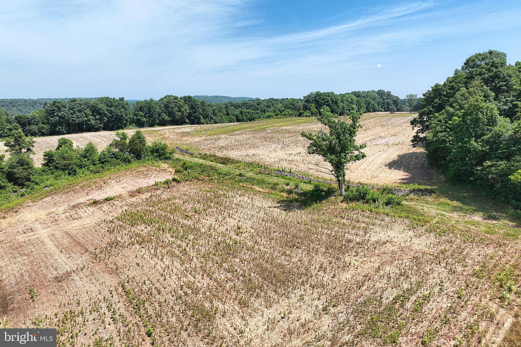 ANDERSONTOWN - Farm