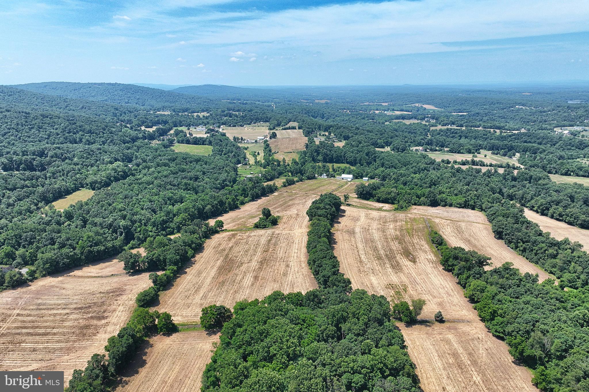 ANDERSONTOWN - Farm