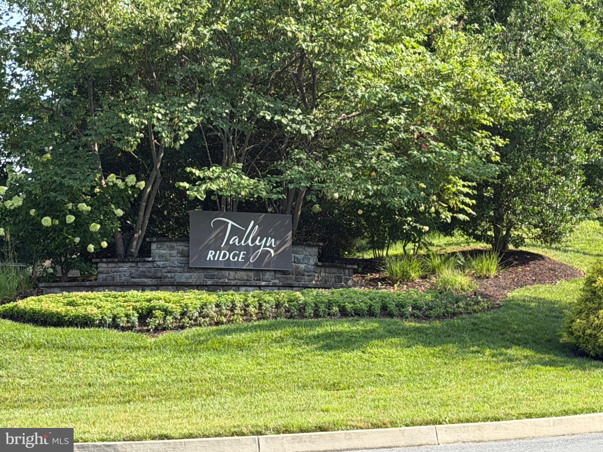TALLYN RIDGE AT PINECLIFF PARK - Residential