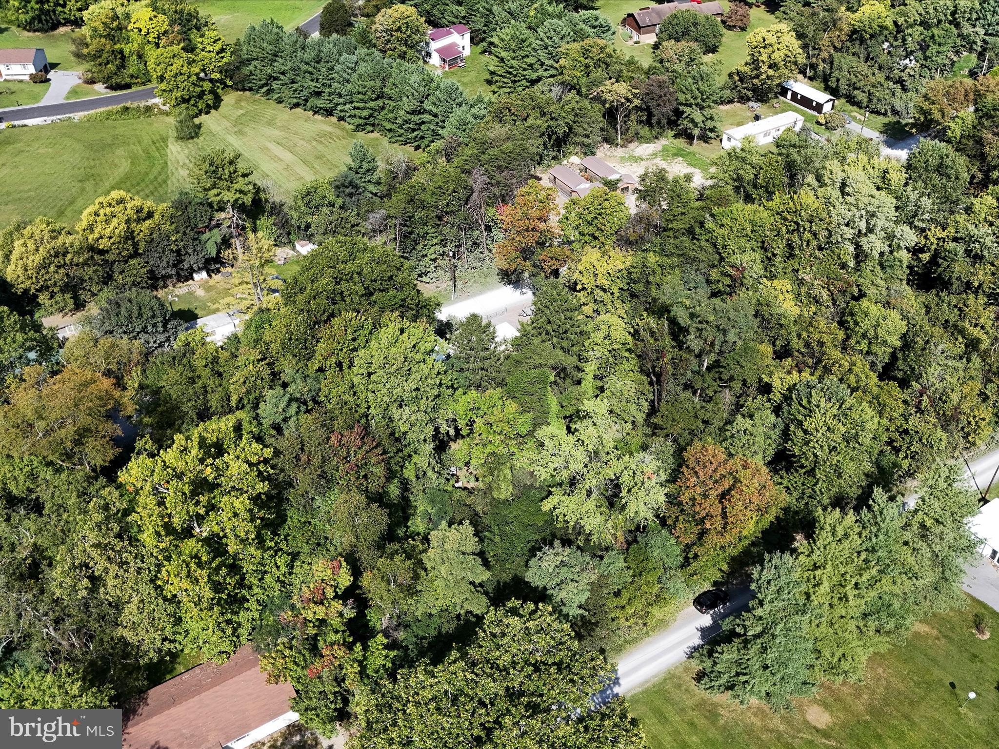 Opportunity to own a small piece of land for possible recreation use in the Potomac Park community! Community access to the Potomac River, ideal for fishing, kayaking, or simply enjoying nature's beauty. Access to the C&O Canal across the bridge on the MD side.  No water/sewer hookup available.