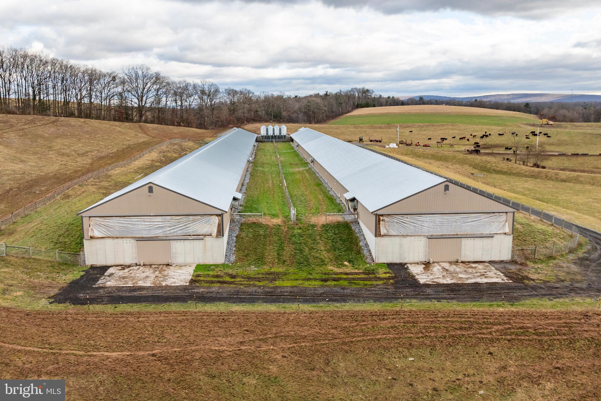 PINE GROVE - Farm