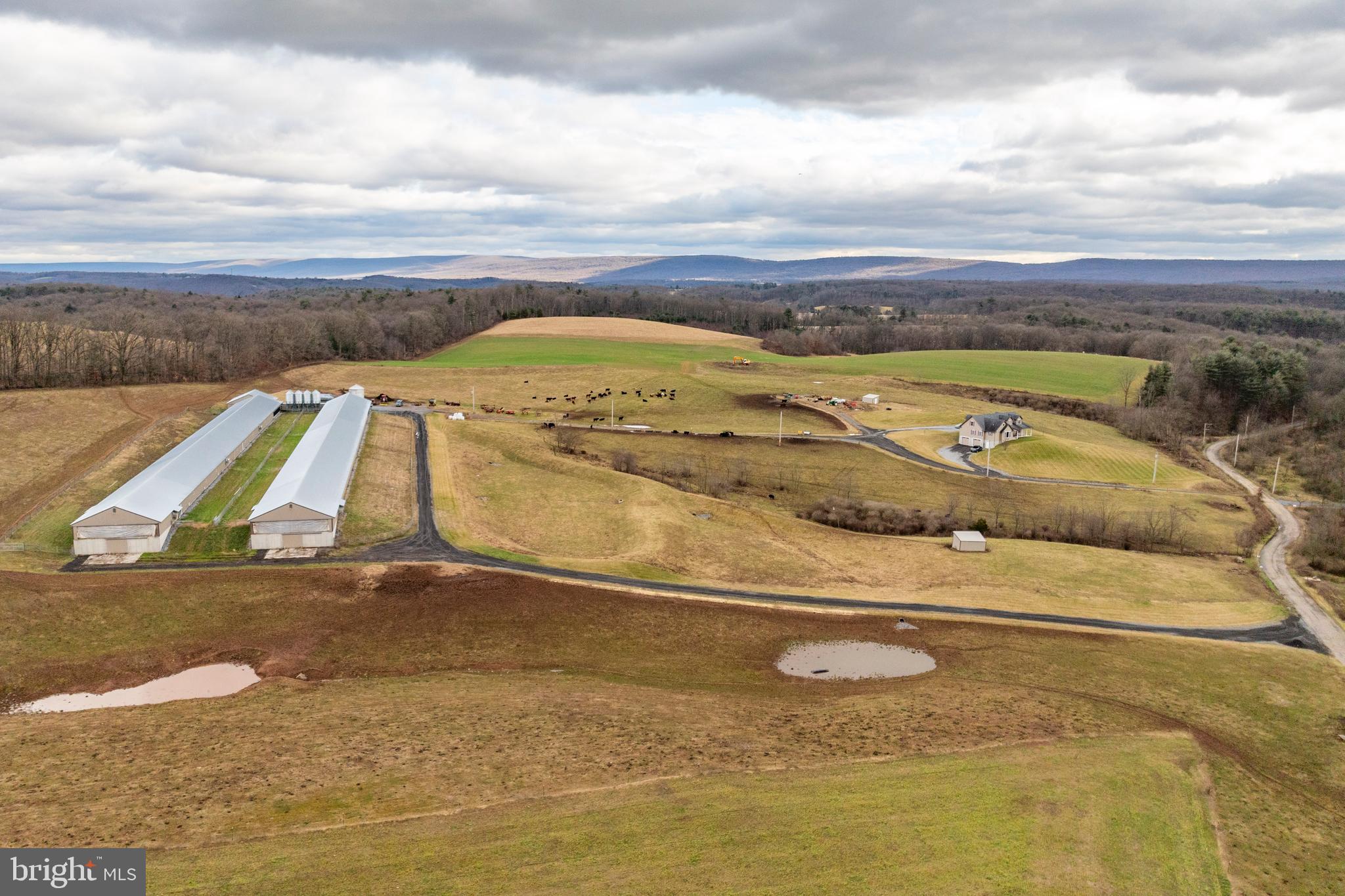 PINE GROVE - Farm