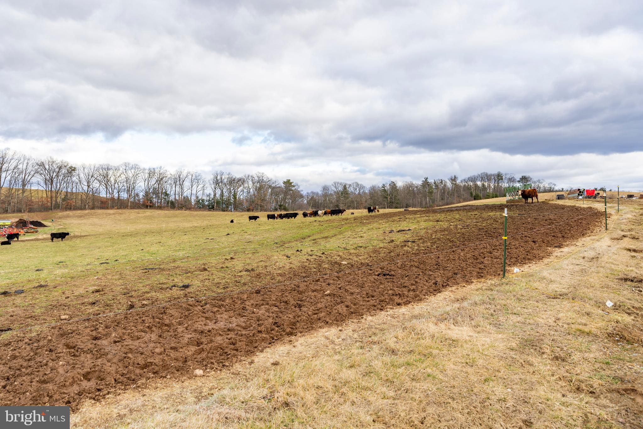 PINE GROVE - Farm