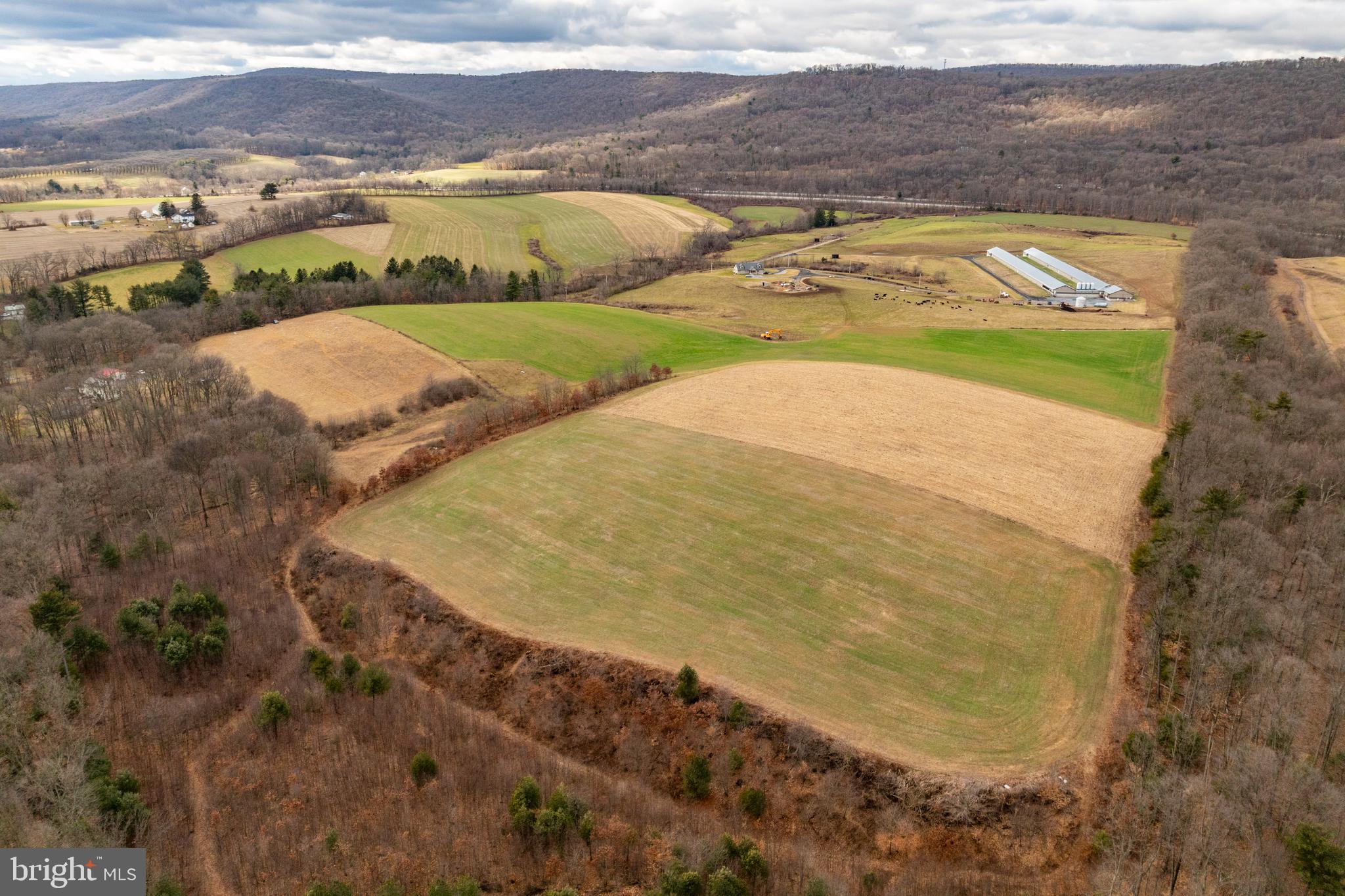 PINE GROVE - Farm