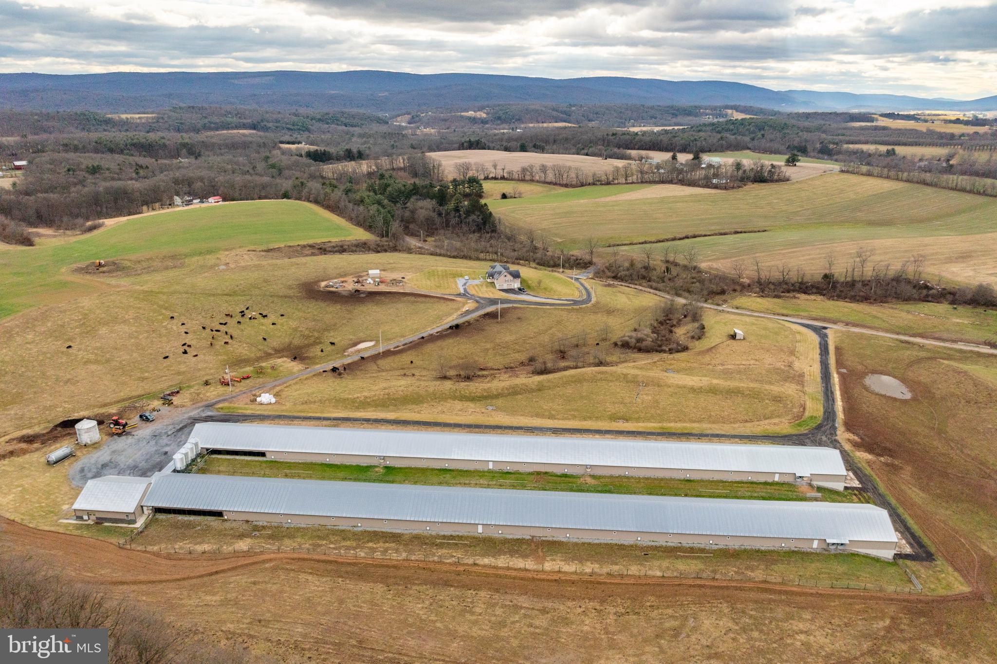 PINE GROVE - Farm