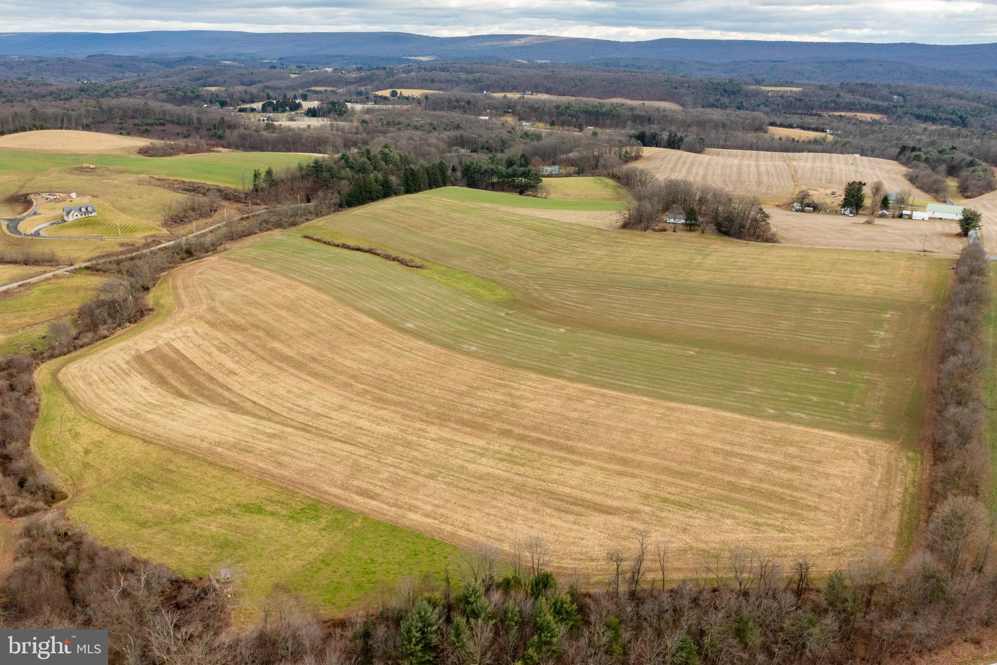 PINE GROVE - Farm