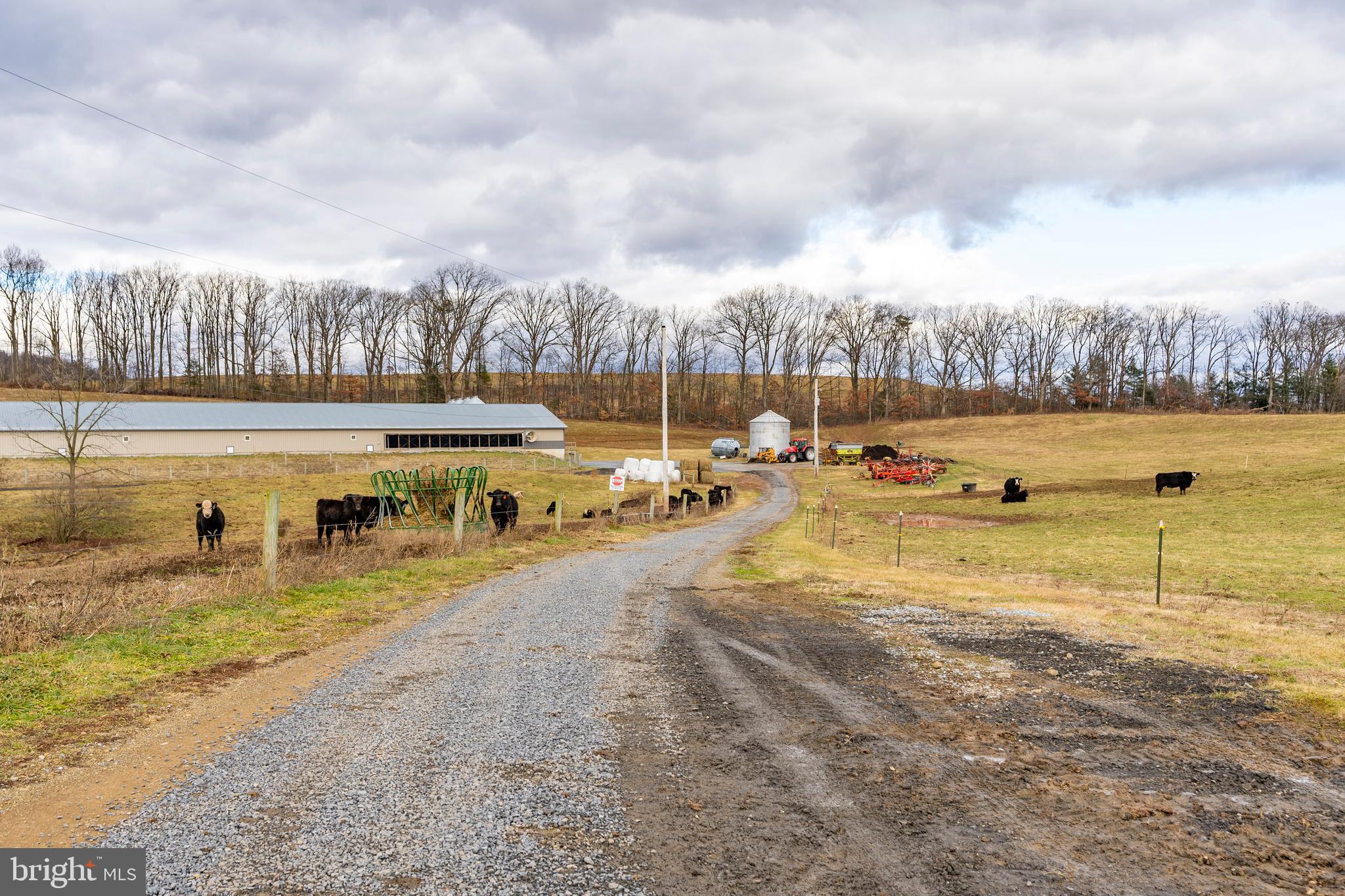 PINE GROVE - Farm