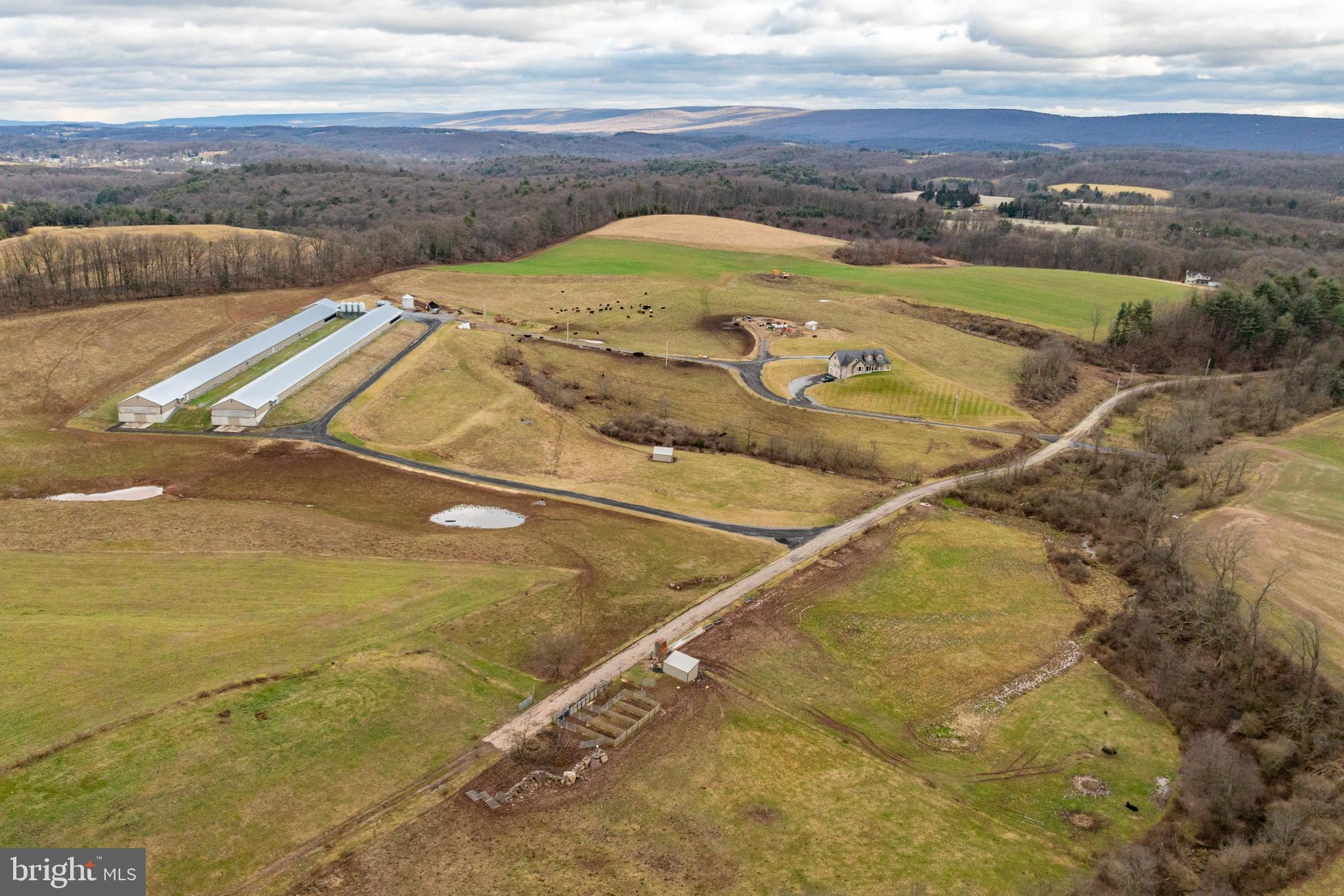 PINE GROVE - Farm