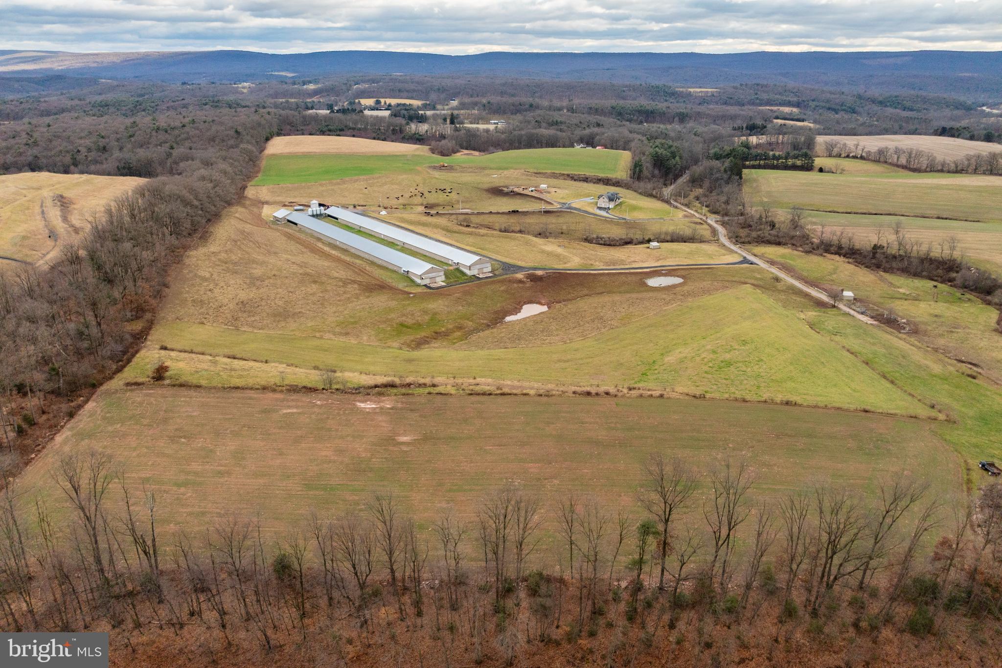PINE GROVE - Farm