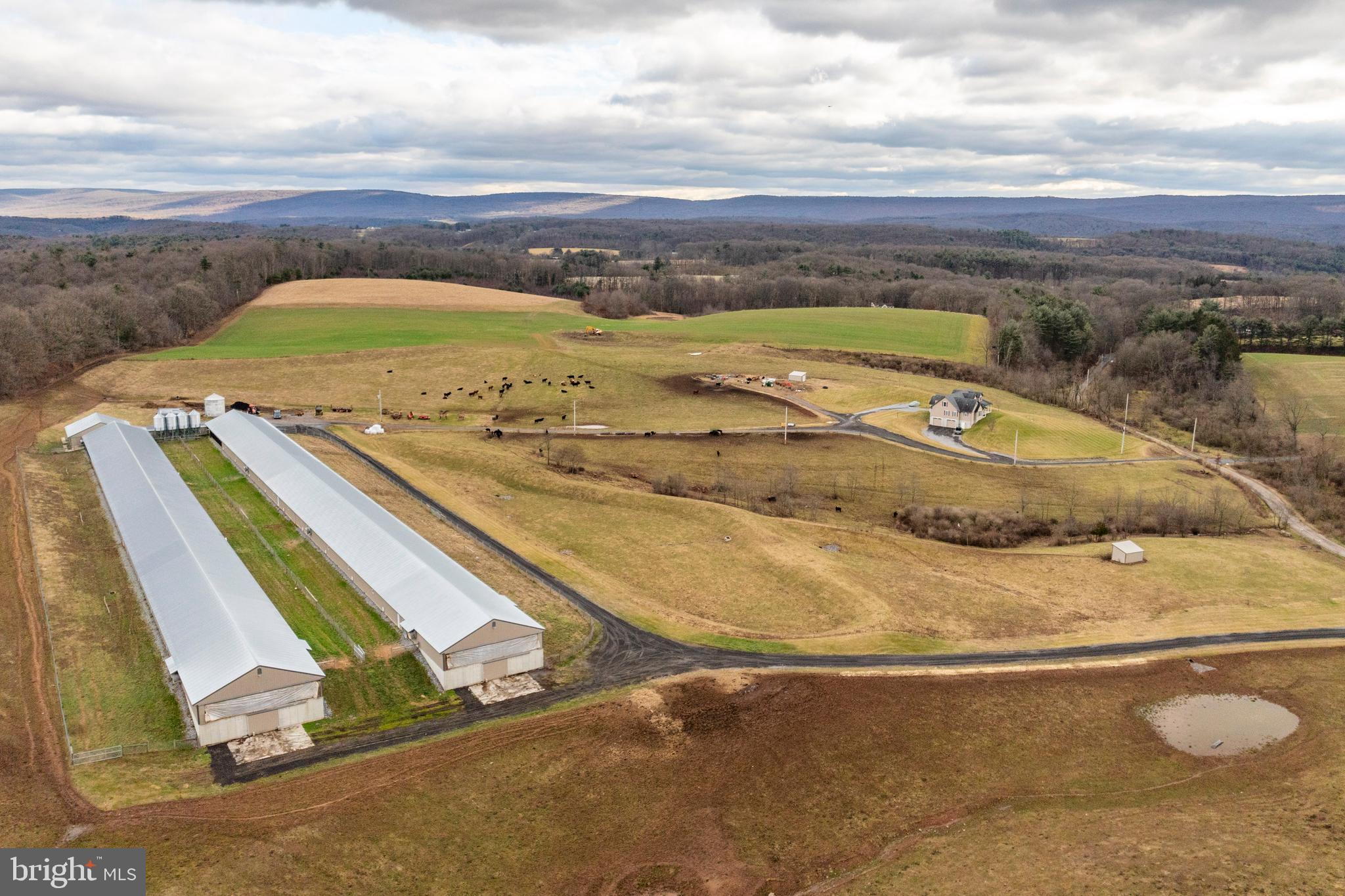 PINE GROVE - Farm