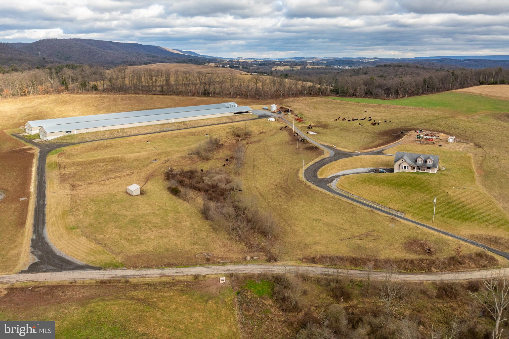 PINE GROVE - Farm