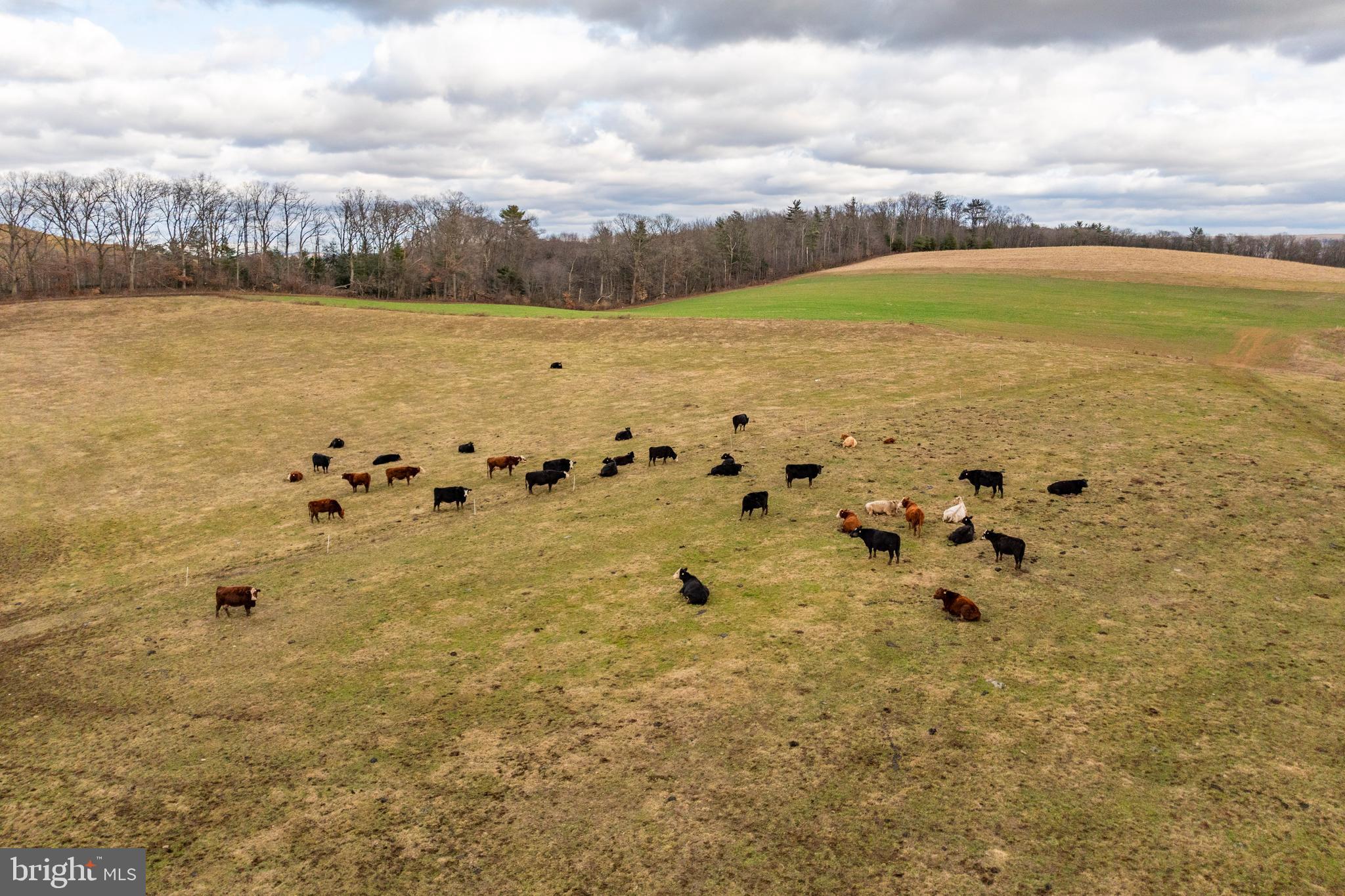 PINE GROVE - Farm