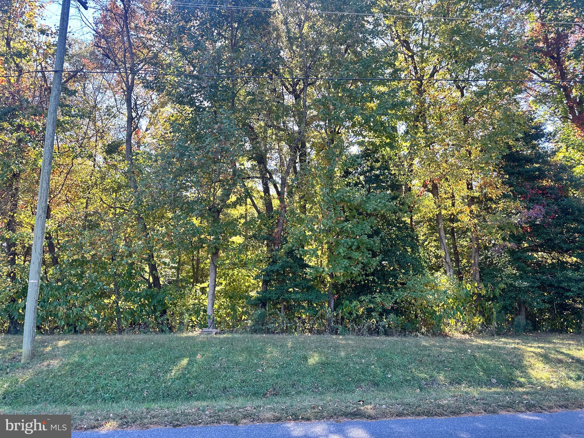 PRICE REDUCED!! This lot is a tranquil retreat for a vacation or permanent home. Located in Stratford Harbour in historic Montross, Va, the birth place of George Washington and Robert E. Lee, on Lake Independence there is boat access - Powered, Canoe/Kayak, Fishing, Personal Watercraft (PWC) and swimming. There is a community clubhouse, pool, common areas which includes Sharks Tooth Beach on the Potomac River for beach combing, picnicking. Lake Independence for swimming, boating (no gas powered boats), fishing (license required). Boat Dock Facility at Currioman Bay. Slips are available for annual rental.  Tennis Courts are open year-round. Playground and Picnic Pavilion are located near Clubhouse. Security Guards tour the area to protect the commons and Clubhouse.  There is a  well-kept and well established road system in place that provide access to the property.  This lot is located directly across from the Stratford Harbour Clubhouse. It  is a wonderful community, please call for additional information. There is a county septic certification for 4 Bed/2.5 bath home. 

           
READ LESS