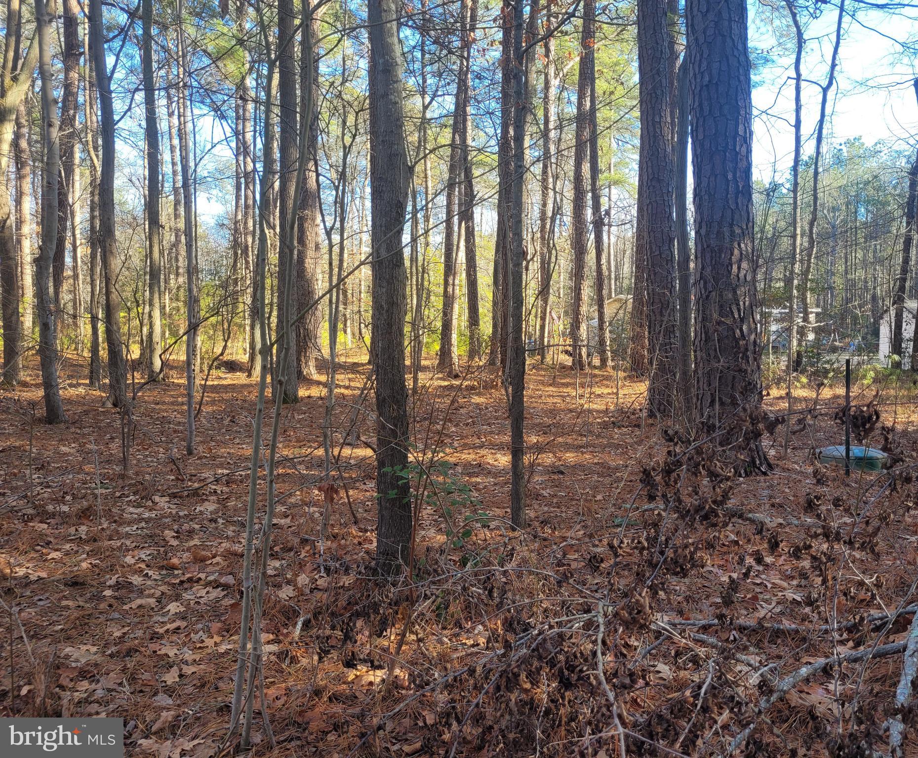 This .08+/- acre lot in the Ragged Point Beach community offers a fantastic opportunity to create your ideal home or retreat. With proximity to the Potomac River, the property provides access to the waterfront lifestyle without being directly on the water. The tranquil setting makes it a perfect choice for those seeking a quiet, rural atmosphere. The adjacent lot is also available for sale, listed separately, but the seller will consider offers for both properties together. Don’t miss the chance to be part of this desirable community.