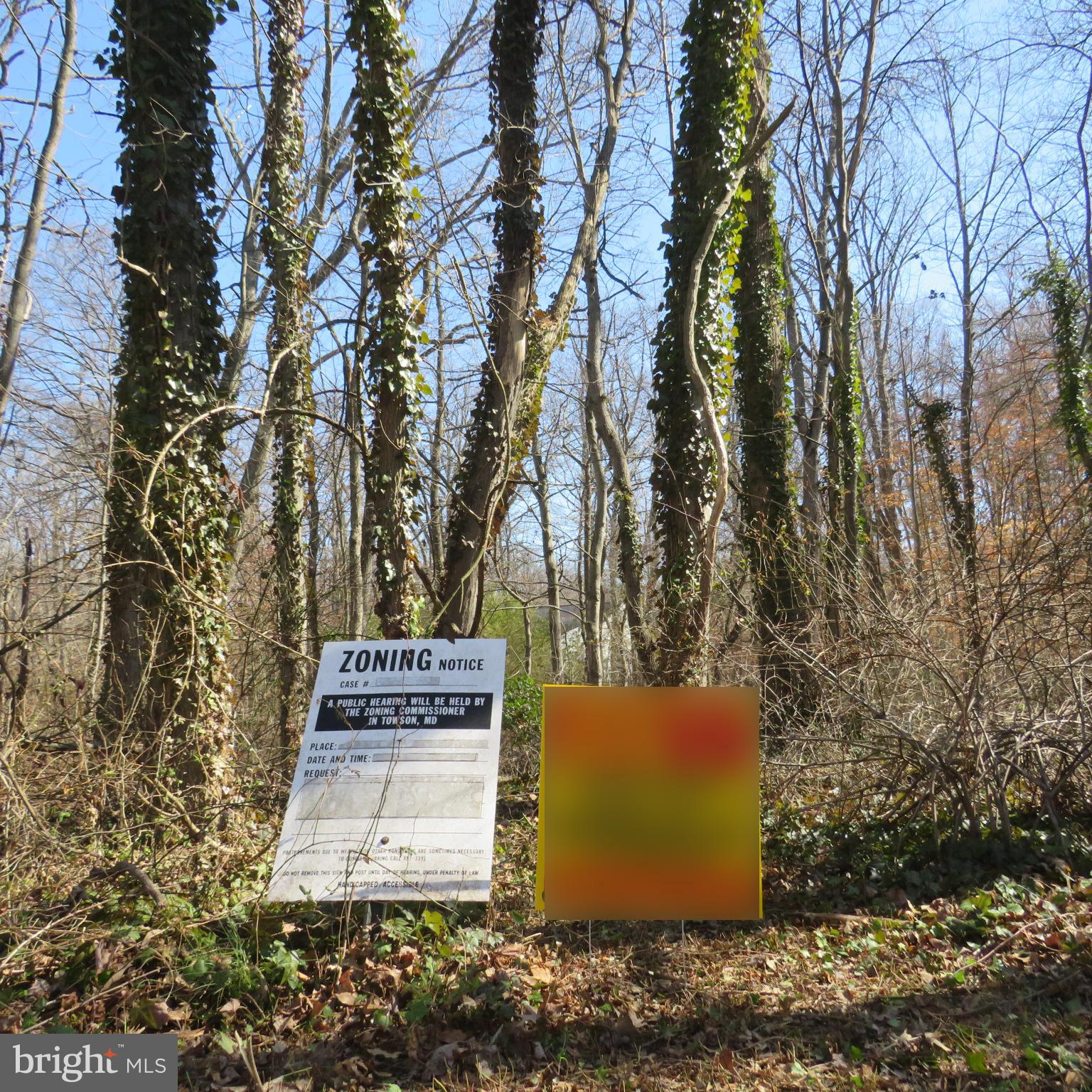 HOLLY NECK - Land