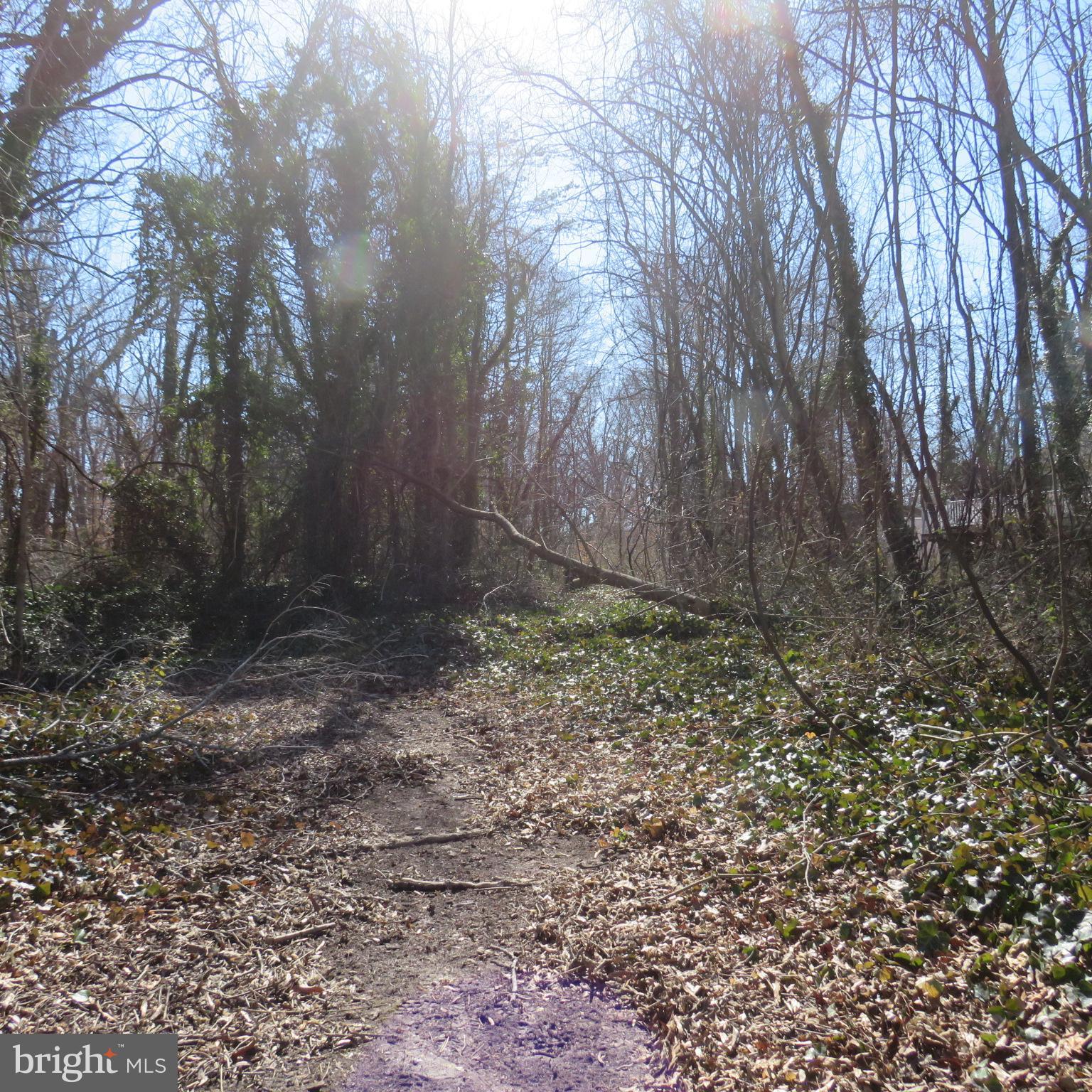 HOLLY NECK - Land
