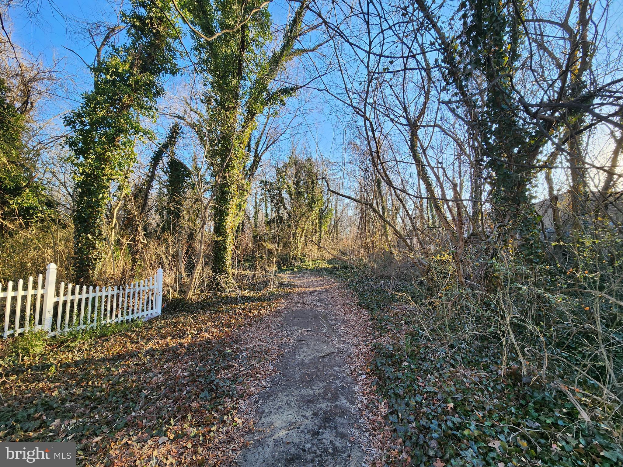 HOLLY NECK - Land