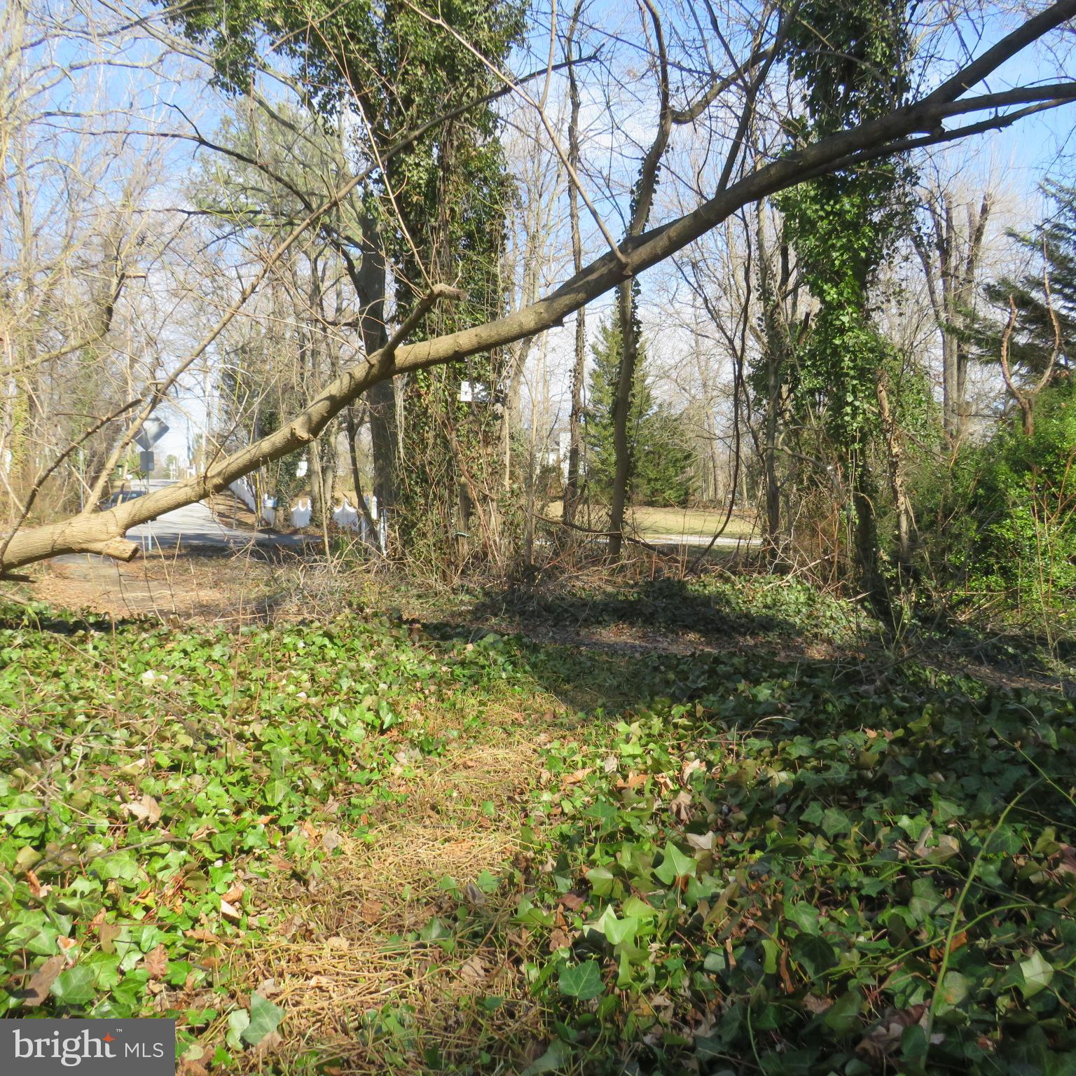 HOLLY NECK - Land