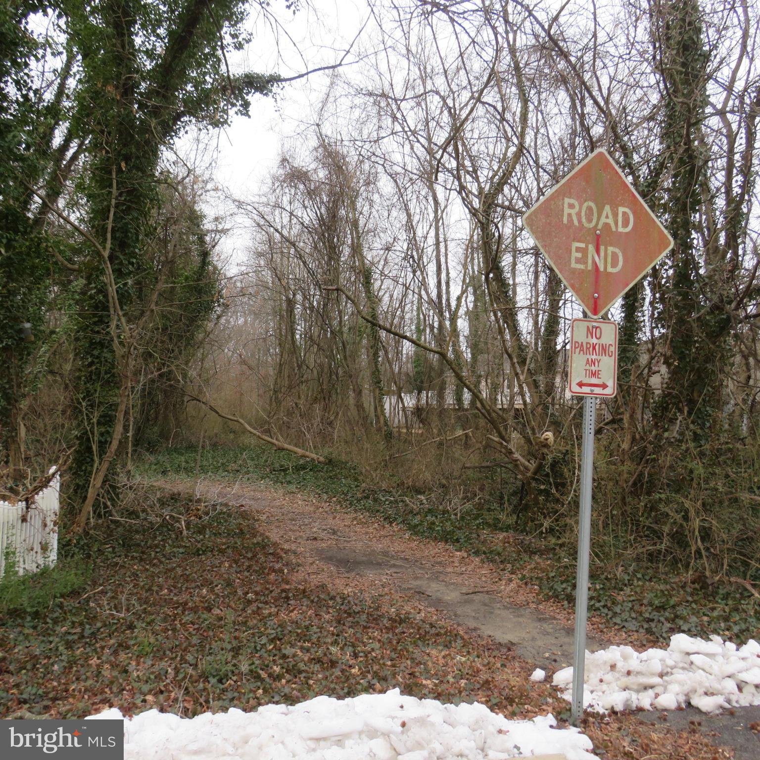 HOLLY NECK - Land
