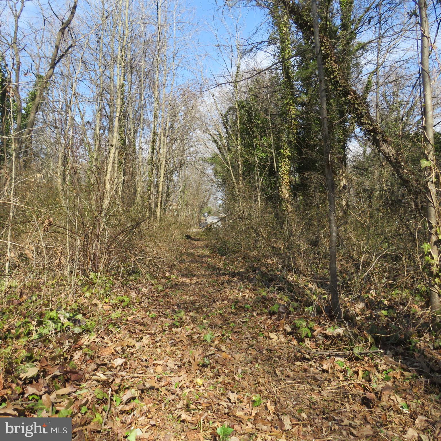 HOLLY NECK - Land