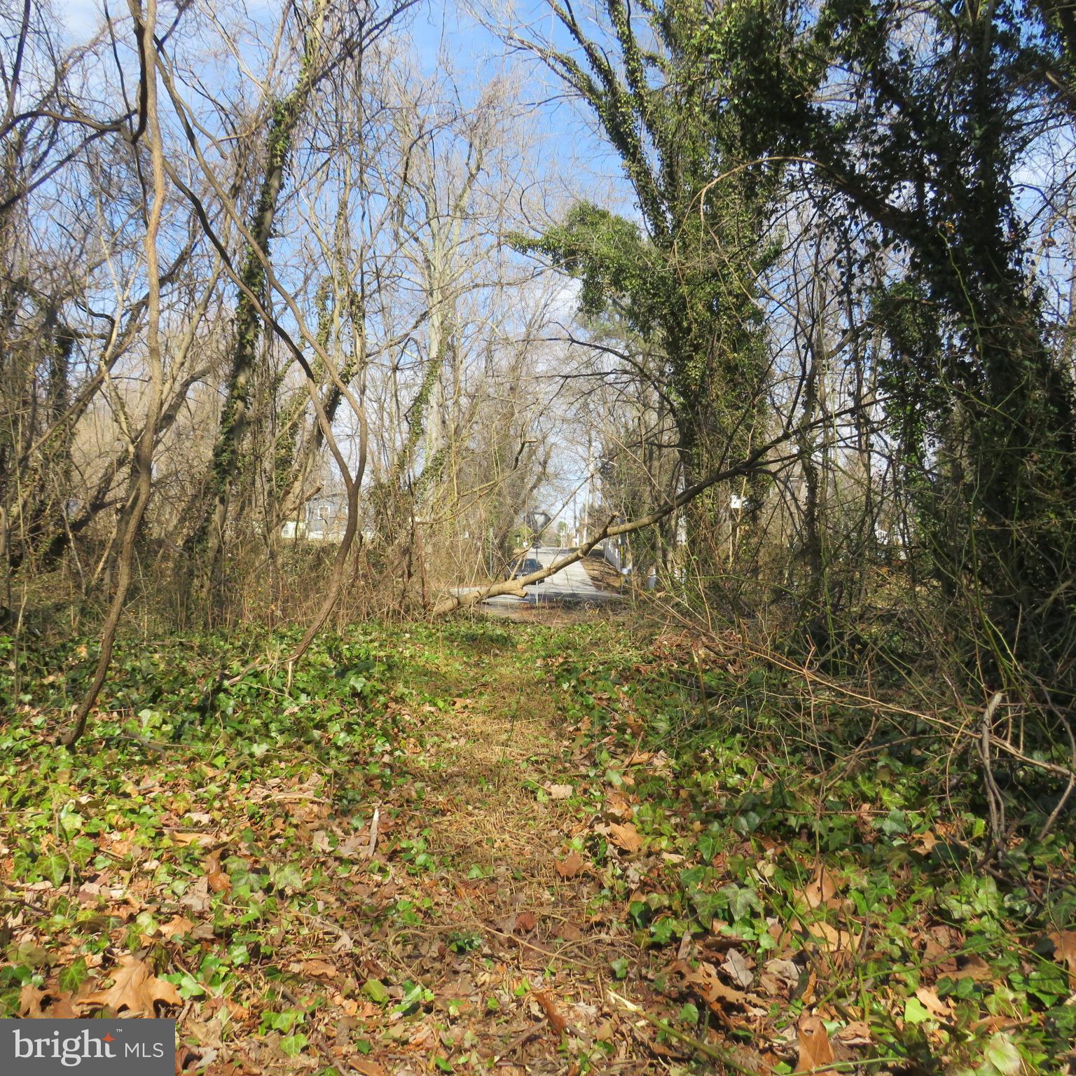 HOLLY NECK - Land