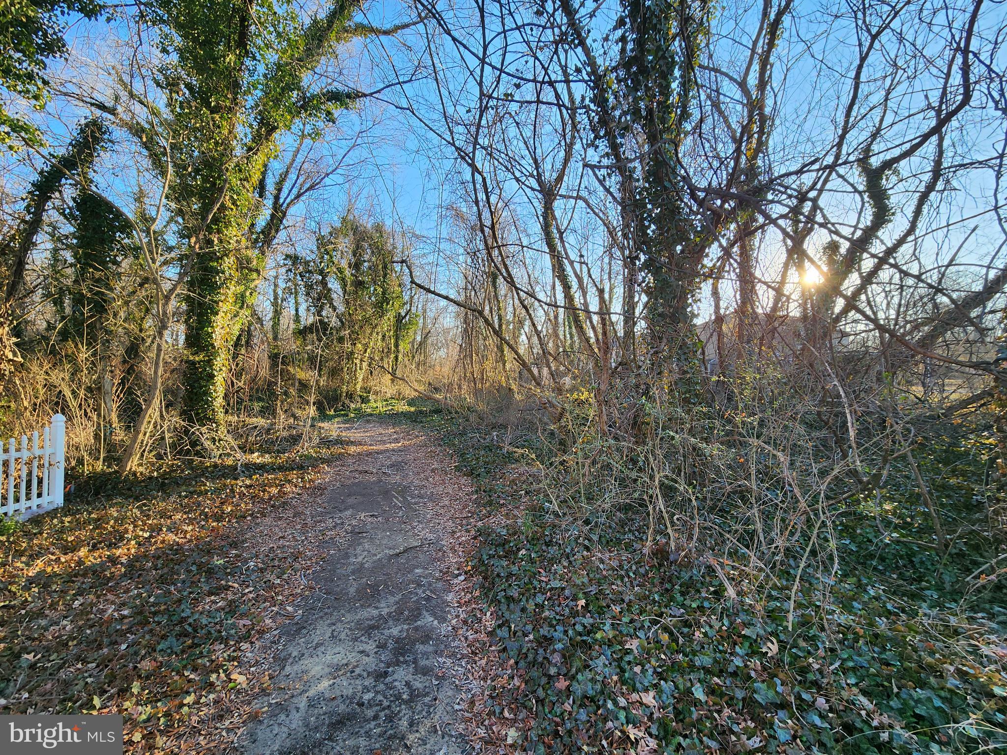 HOLLY NECK - Land