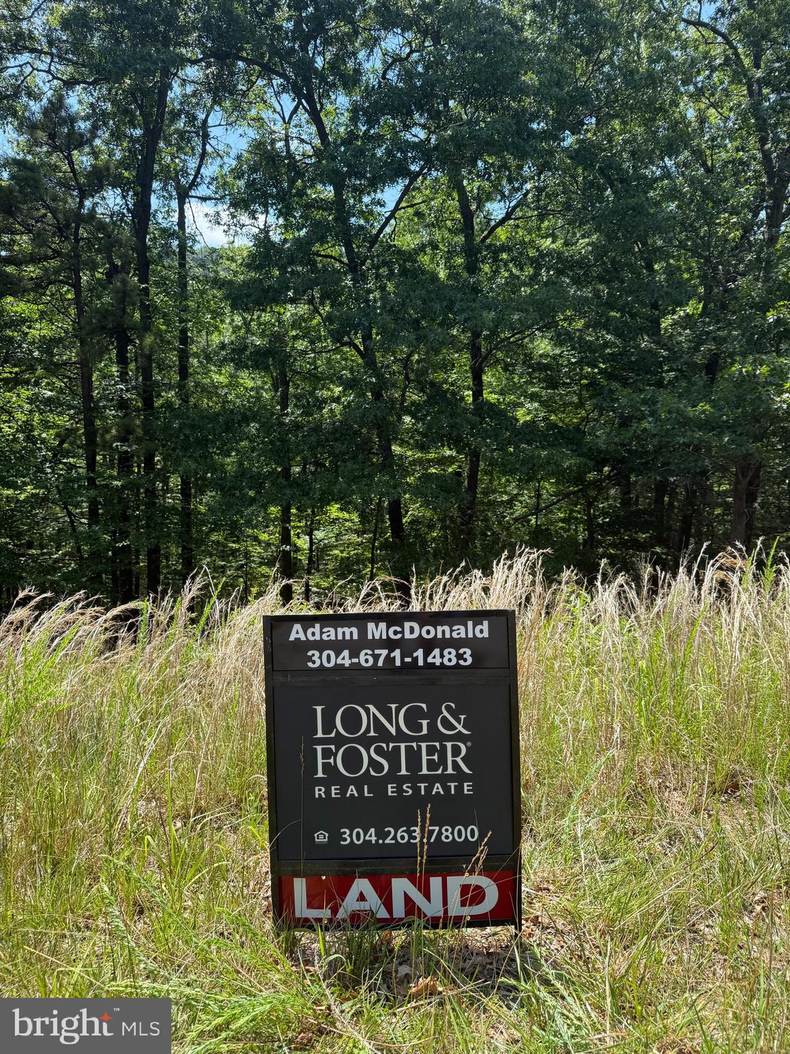 THE WOODS RESORT - Land