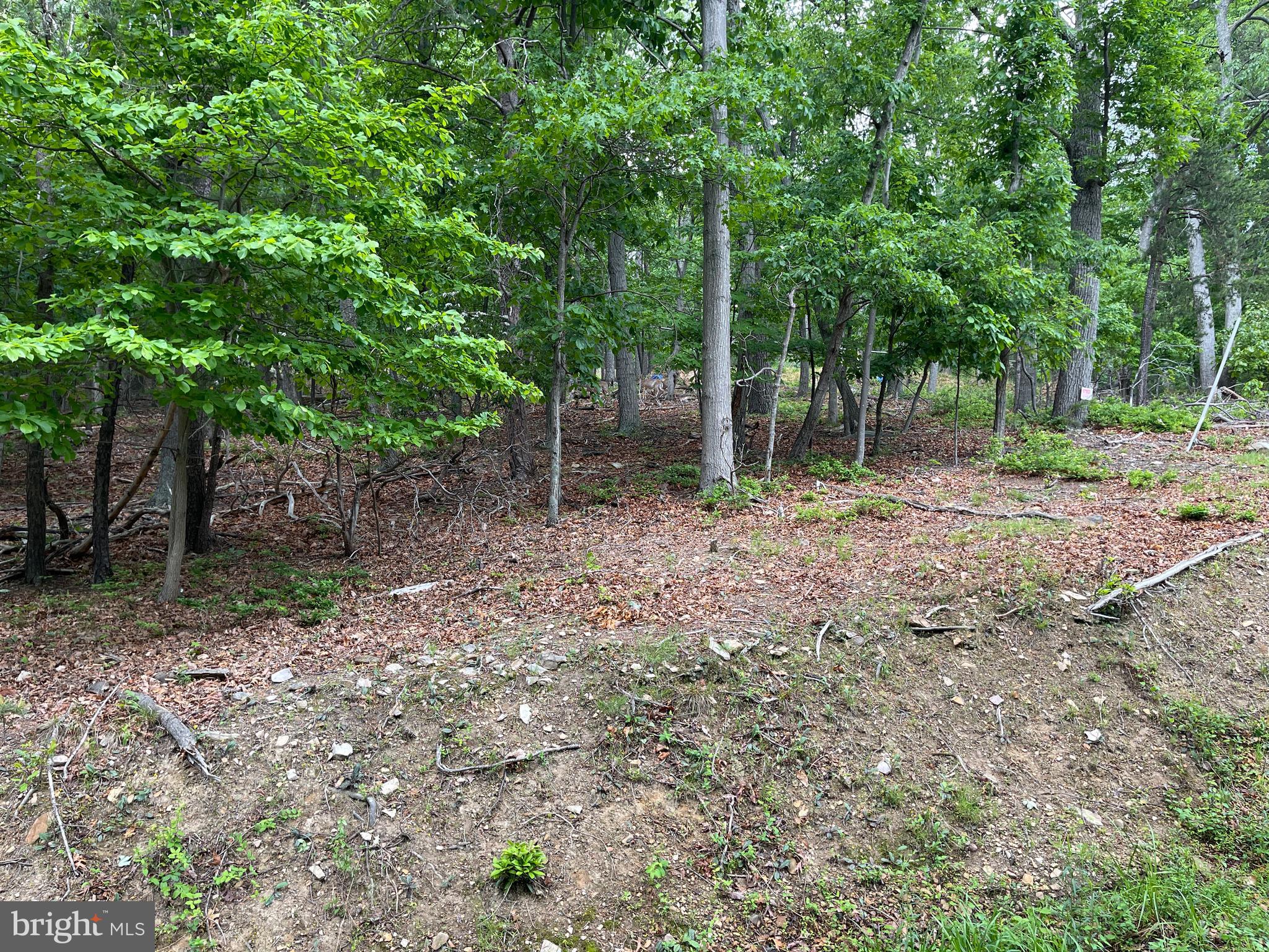 BULL RUN MOUNTAIN - Residential