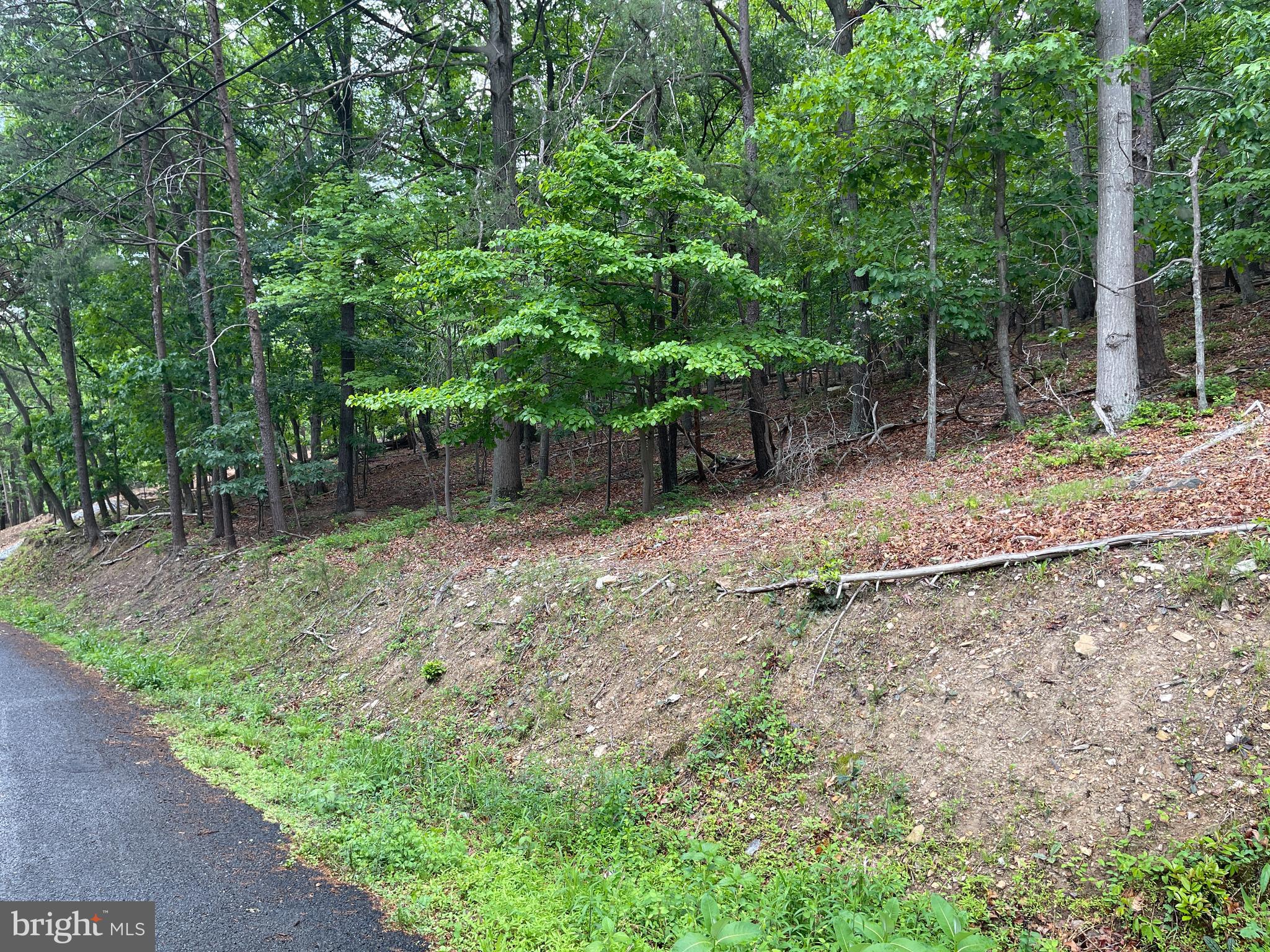 BULL RUN MOUNTAIN - Residential
