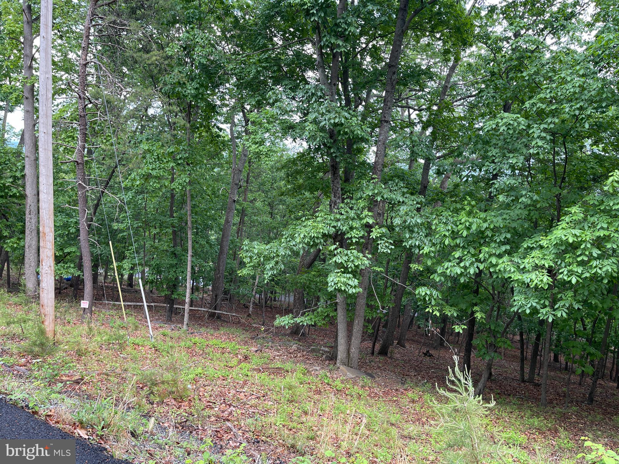 BULL RUN MOUNTAIN - Residential