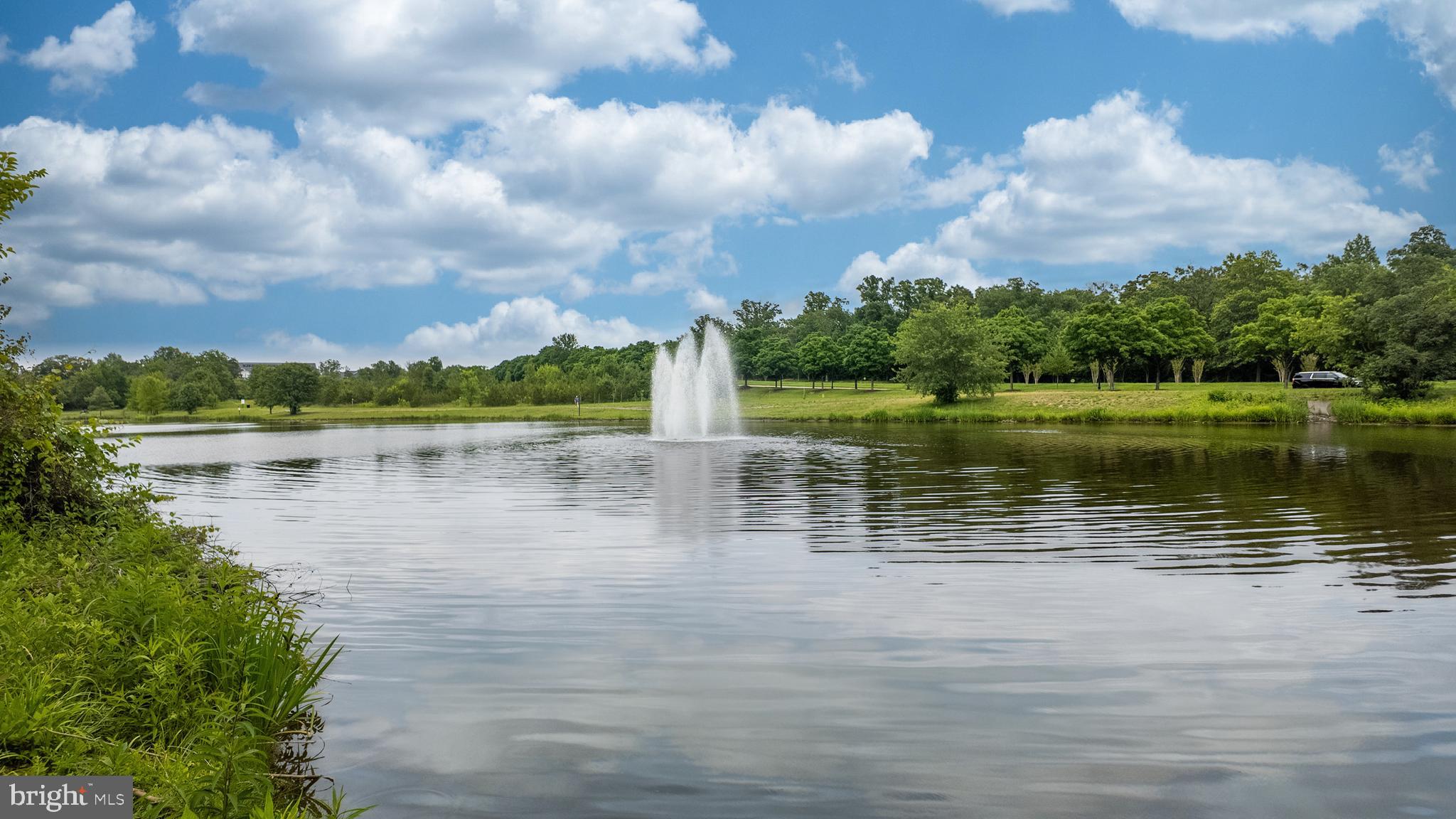 LAKESIDE AT SOUTH RIDING - Residential