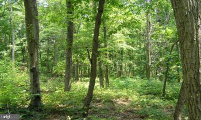 51.87 wooded acres in beautiful Hammer Hollow.  This is prime hunting and recreational land.  Very secluded and perfect for a rustic cabin or hunting camp.  Adjacent 50.67 acres is also available.  Call Today!